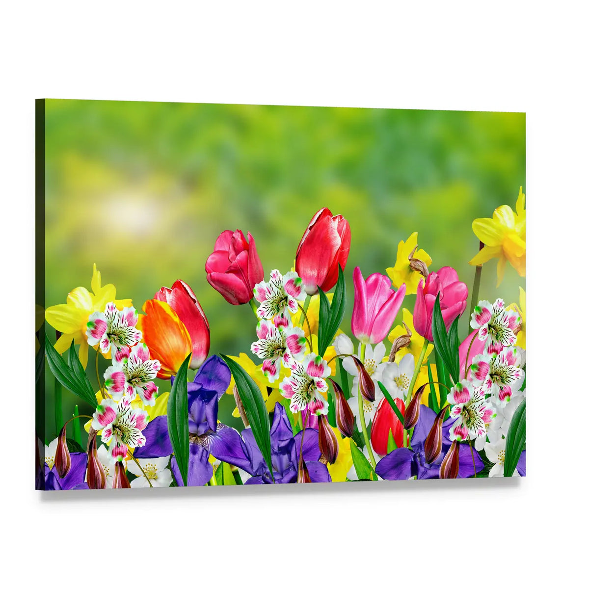 Spring Daffodils and Tulips Canvas Wall Art, single panel gallery wrapped canvas, angled product view