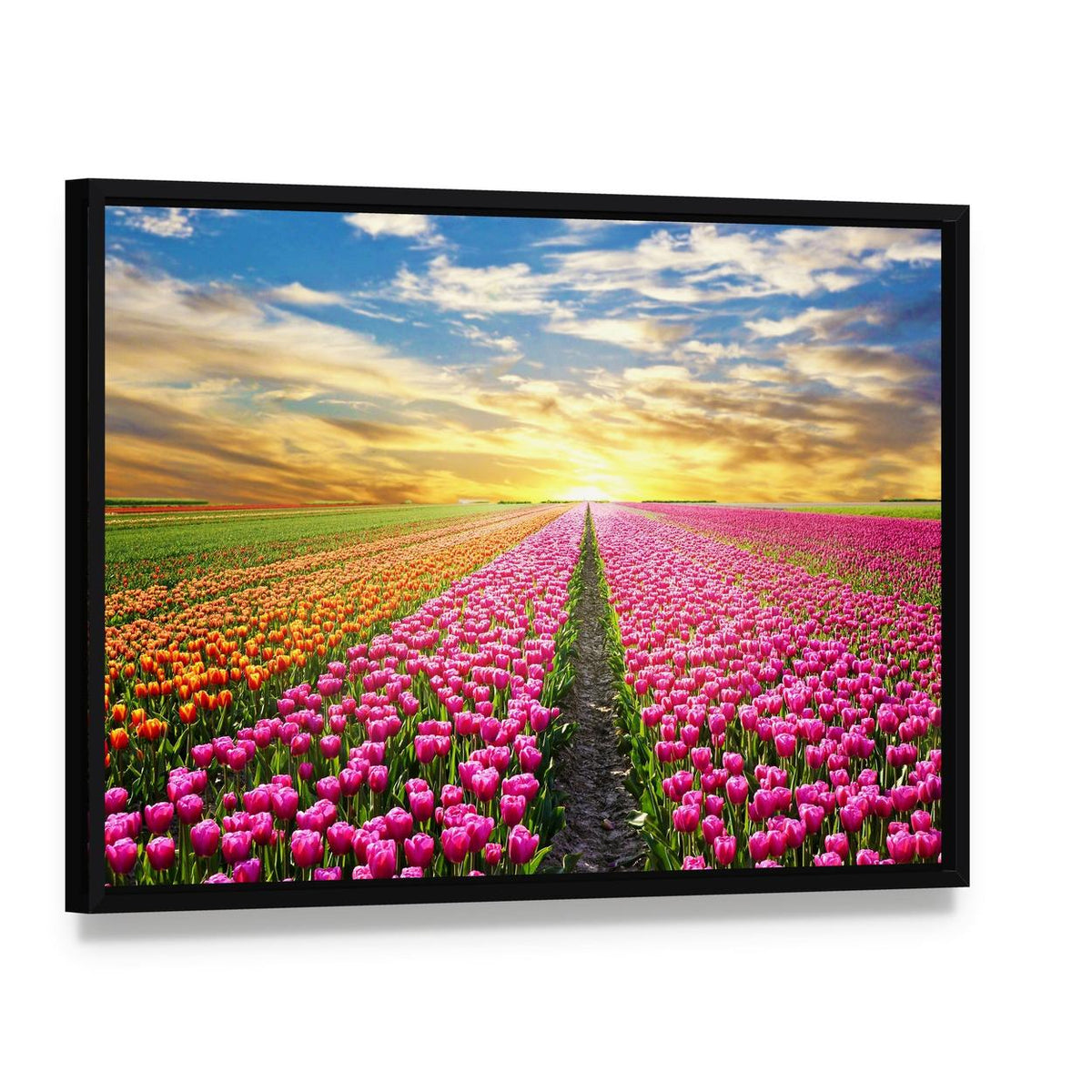 Tulip Field at Sunrise Canvas Wall Art, framed canvas in a black floater frame, angled product view