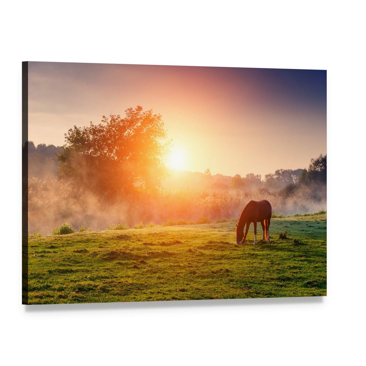 Horse Grazing in Sunrise Meadow Canvas Wall Art, single panel gallery wrapped canvas, angled product view