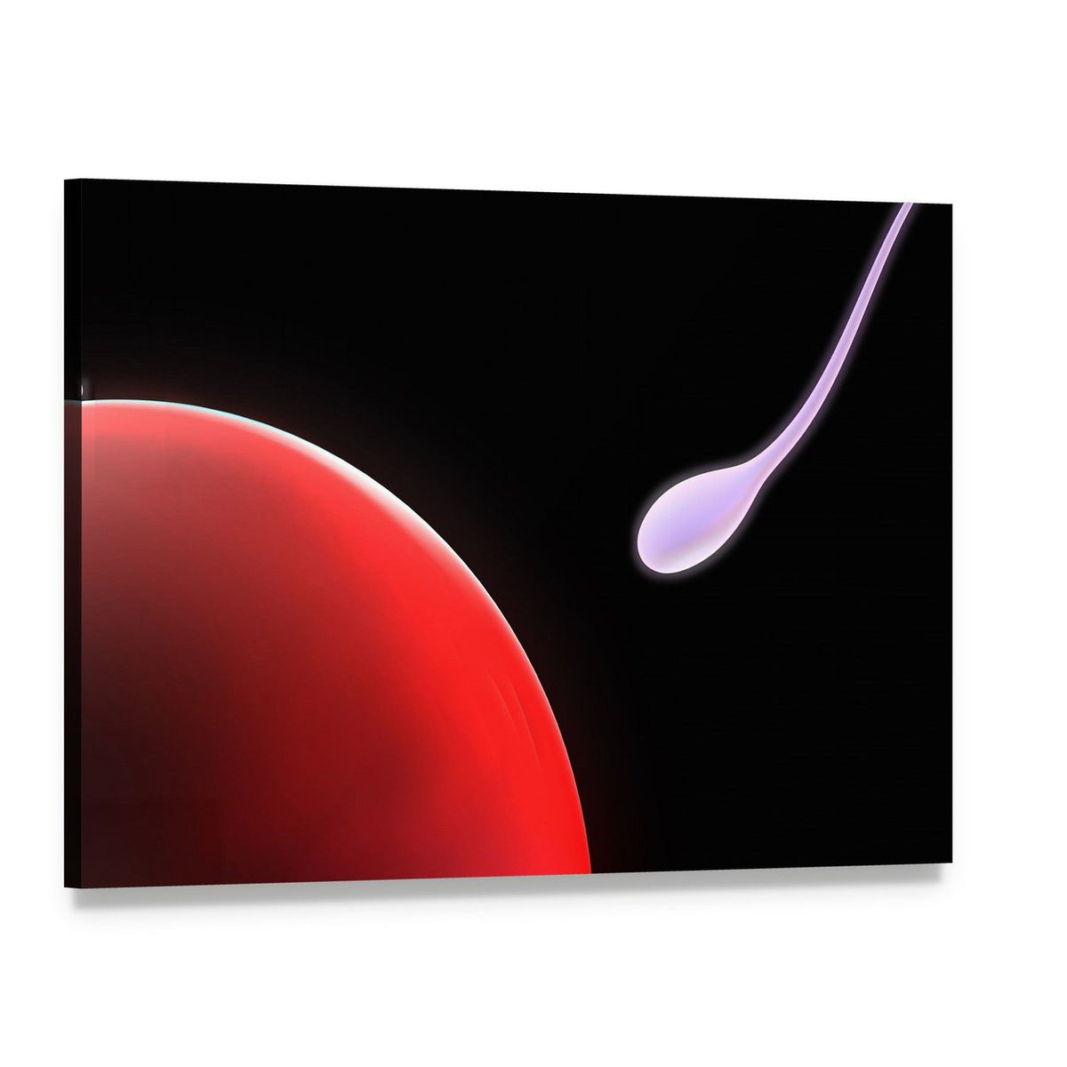 Glowing Sperm and Egg Study Canvas Wall Art, single panel gallery wrapped canvas, angled product view