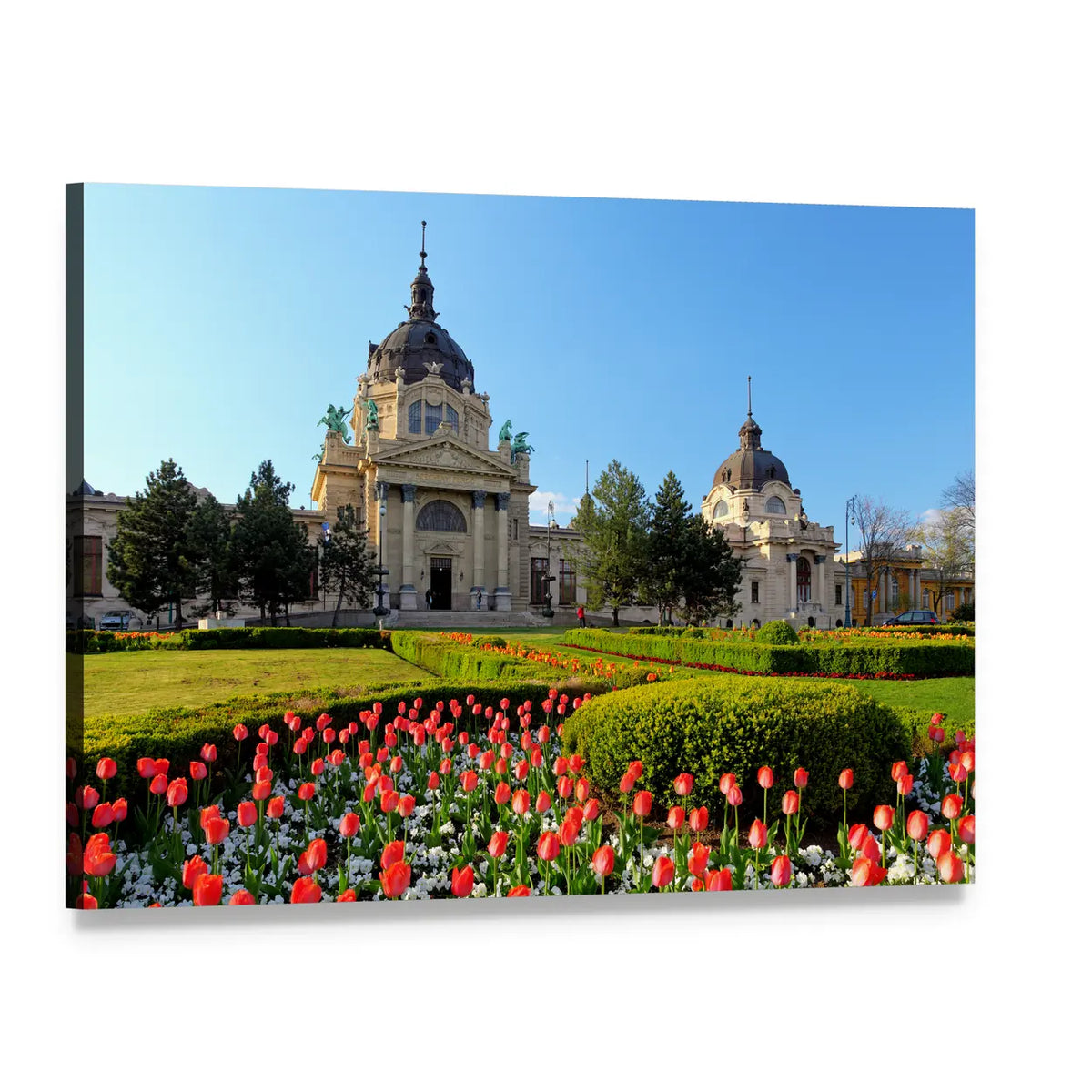 Szechenyi Spa with Red Tulips, Budapest Canvas Wall Art, single panel gallery wrapped canvas, angled product view