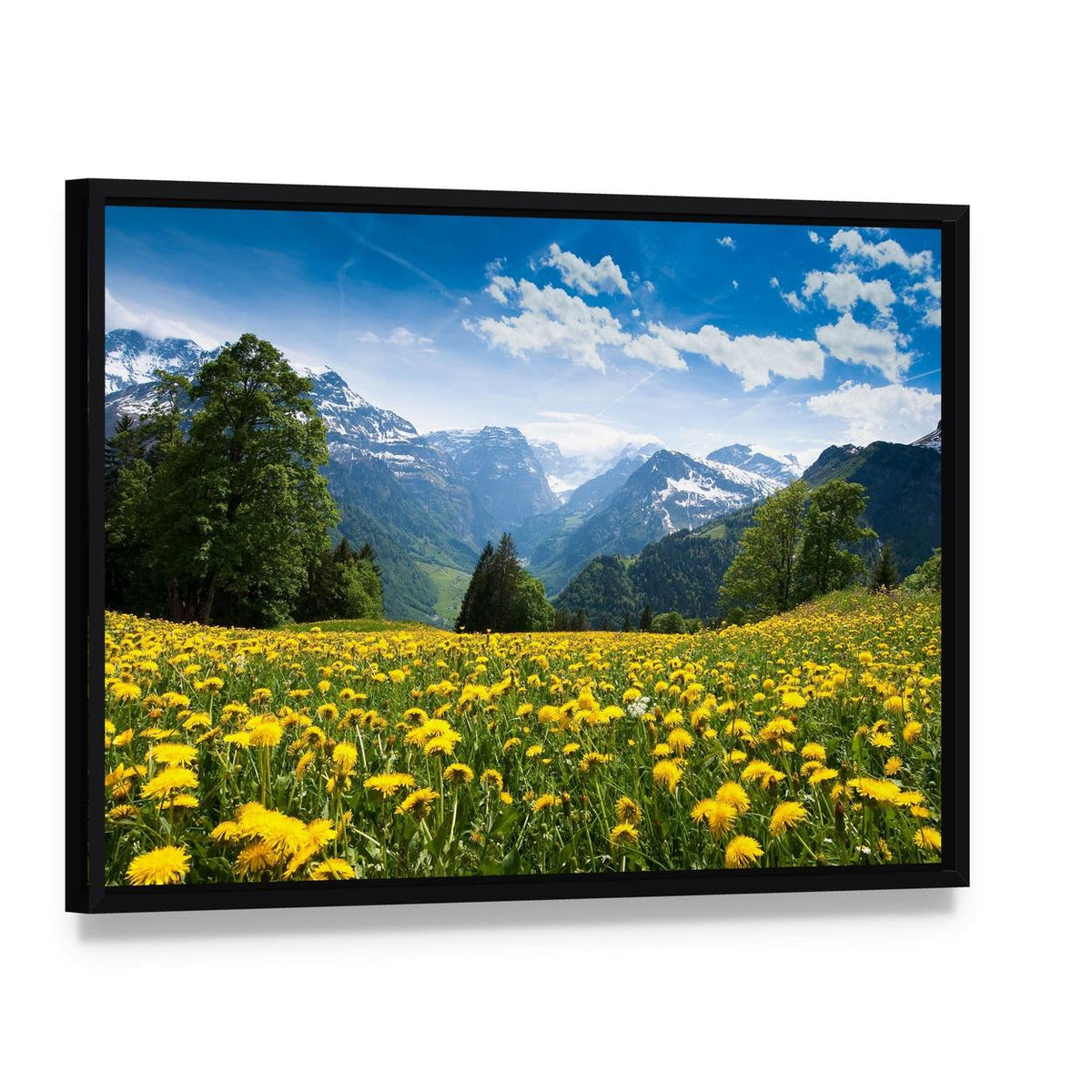 Blossoming Field Switzerland Canvas Wall Art, framed canvas in a black floater frame, angled product view