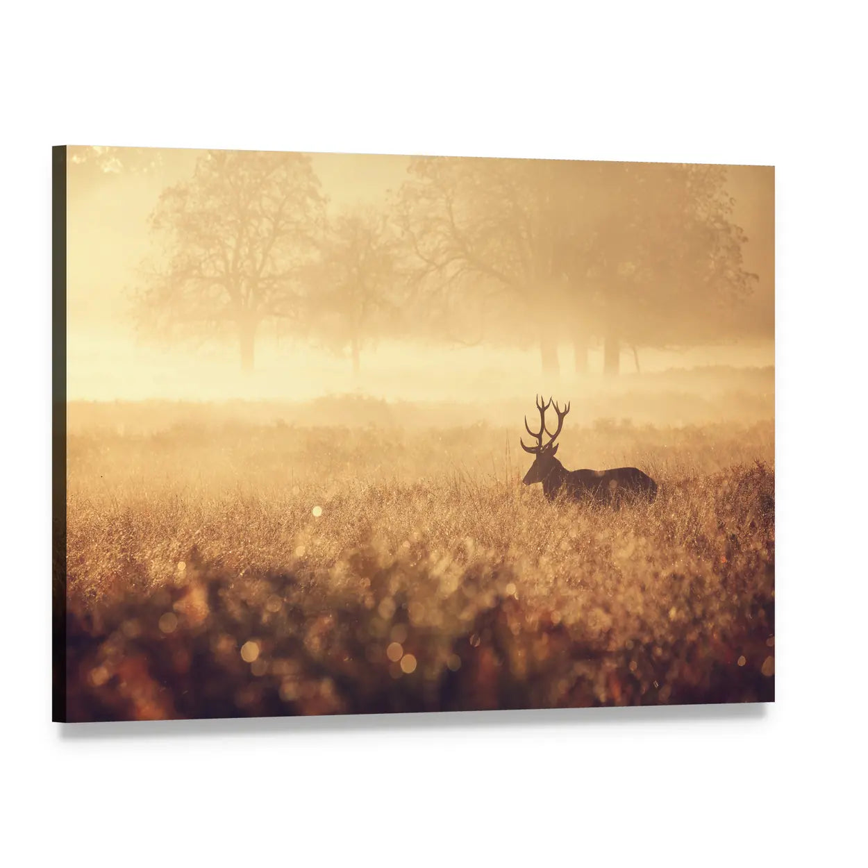 Red Deer Stag in Autumn Mist Canvas Wall Art, single panel gallery wrapped canvas, angled product view