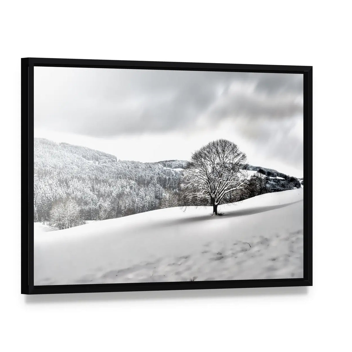 Lonely Tree in Snowy Landscape Canvas Wall Art, framed canvas in a black floater frame, angled product view