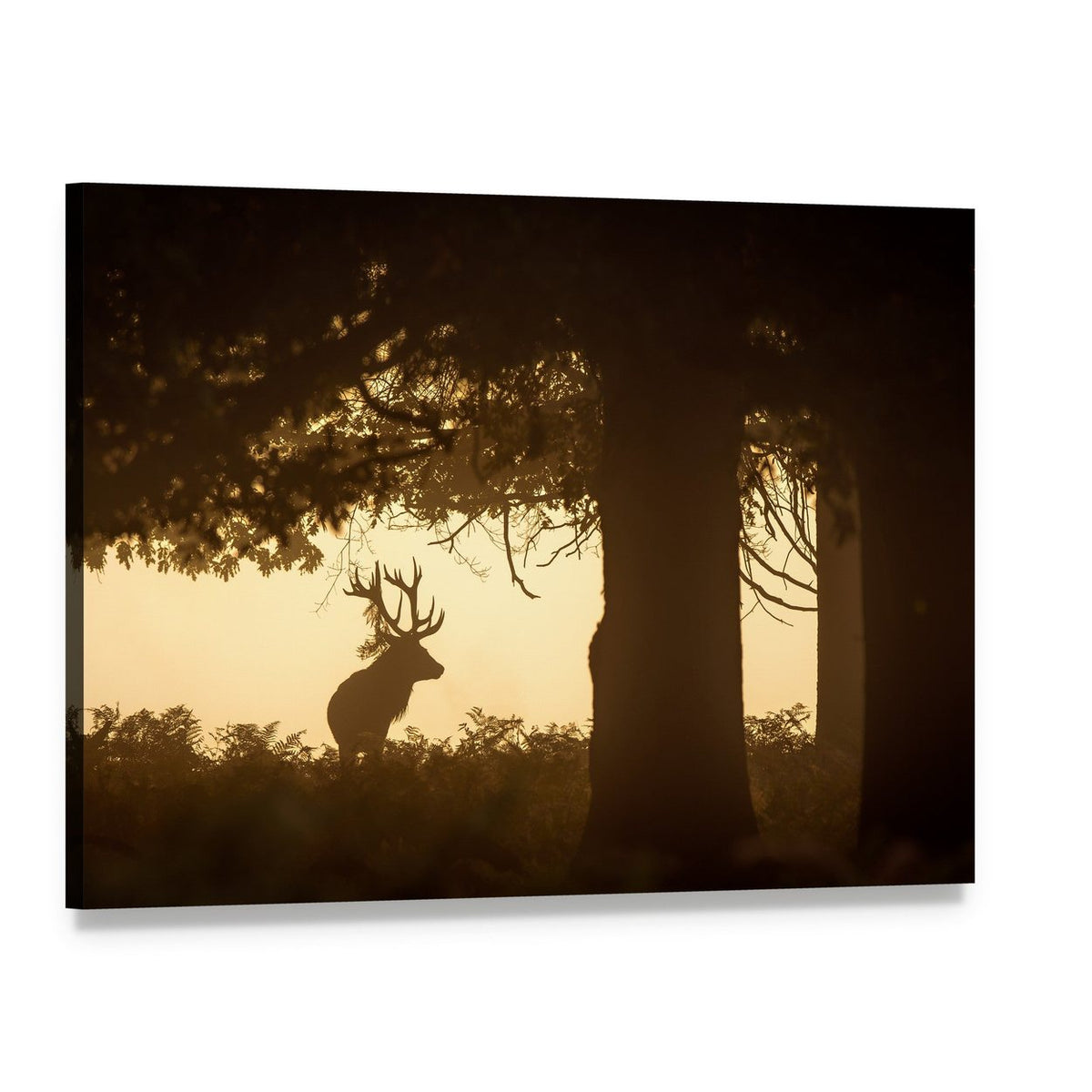 Deer Stag Silhouette Canvas Wall Art, single panel gallery wrapped canvas, angled product view