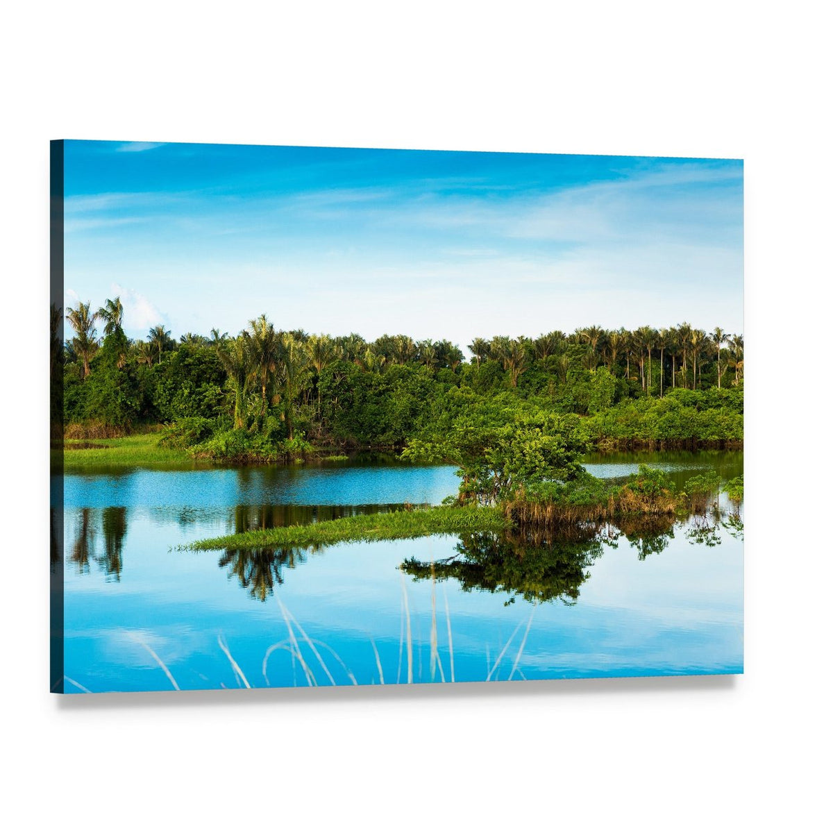 Amazon Wetland Reflection Canvas Wall Art, single panel gallery wrapped canvas, angled product view
