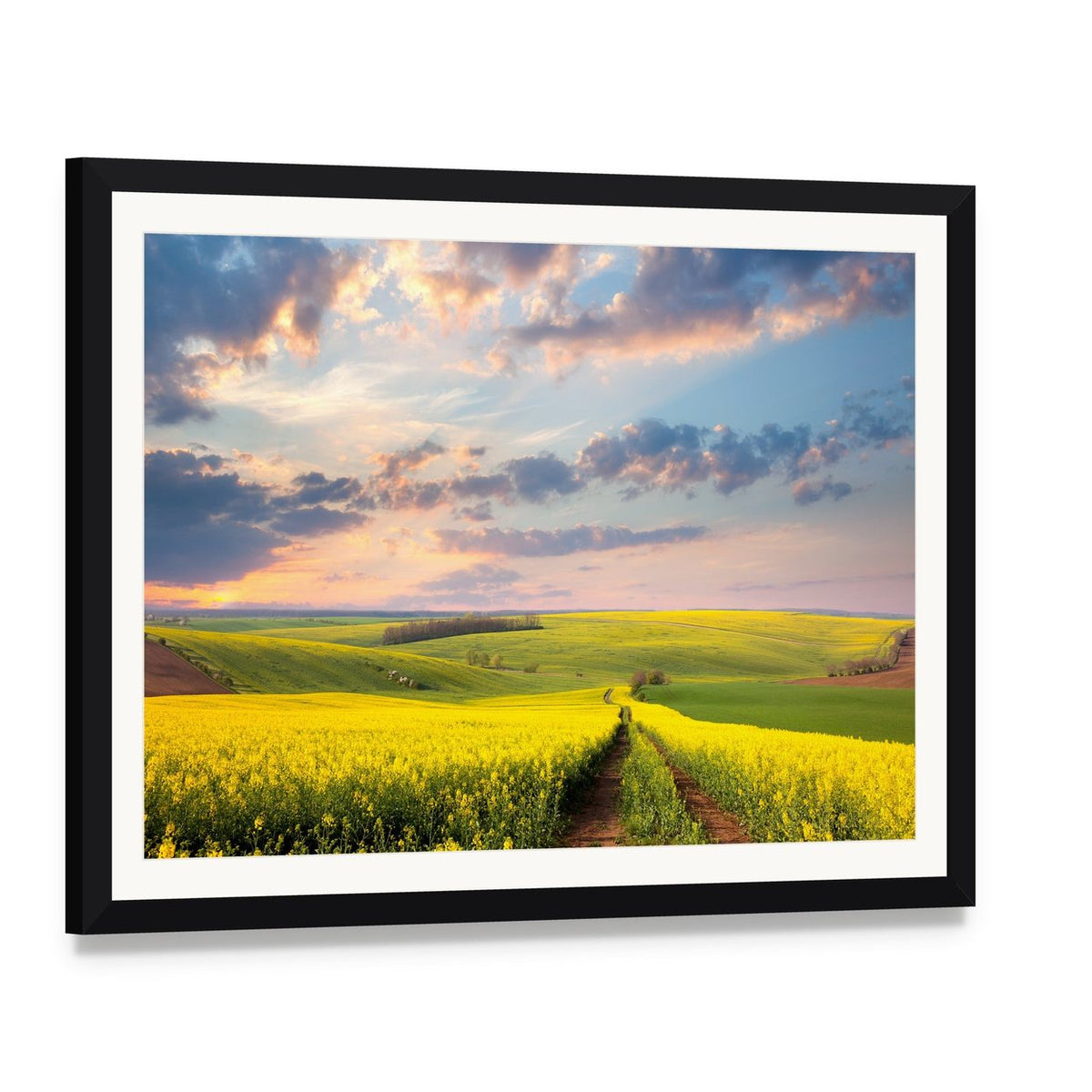 Field of Yellow Flowers with Winding Path Canvas Wall Art, framed print with white mat and black frame, angled product view