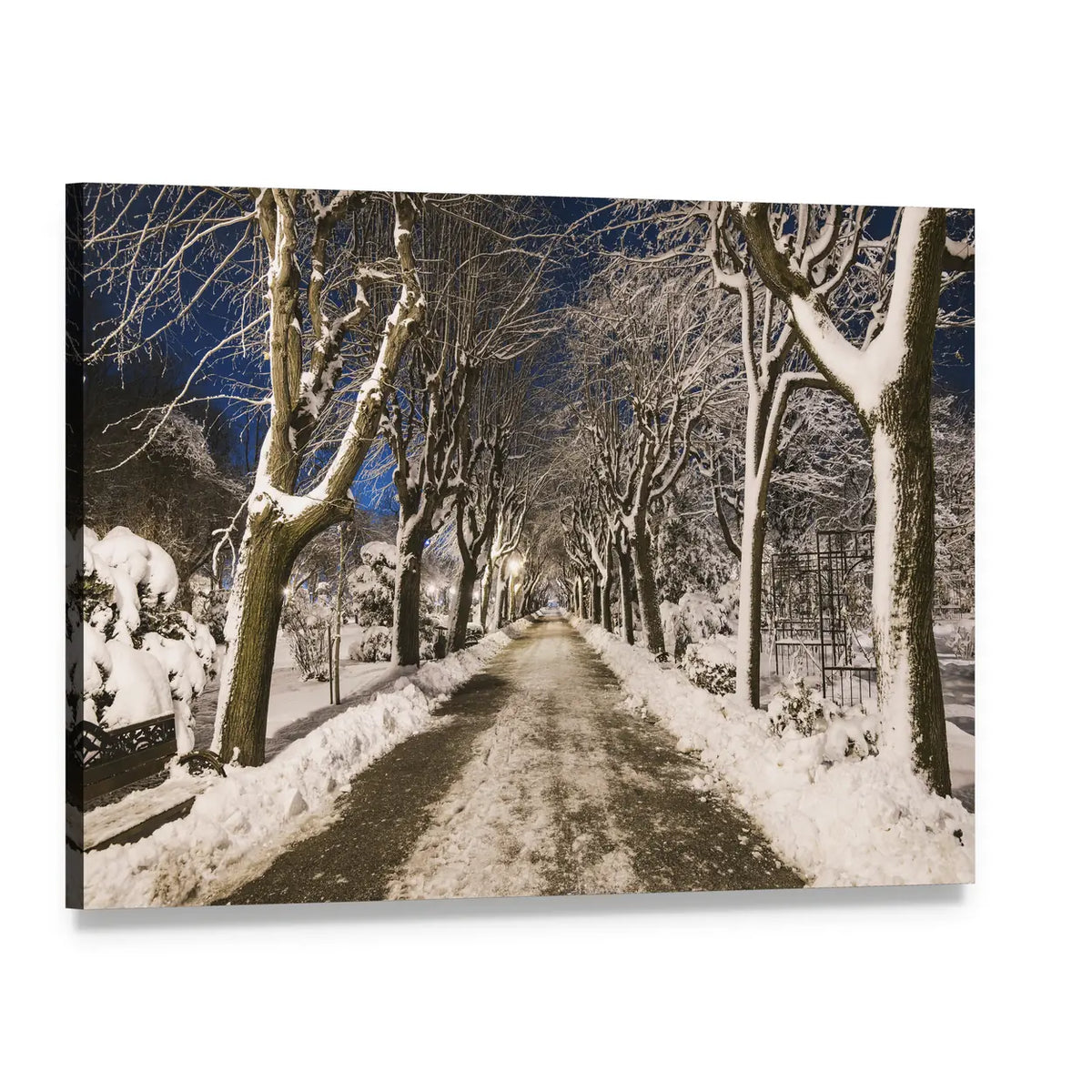 Tree-lined Winter Night Path Canvas Wall Art, single panel gallery wrapped canvas, angled product view