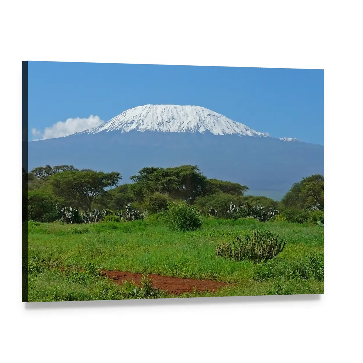 Mount Kilimanjaro Over Savanna Canvas Wall Art, single panel gallery wrapped canvas, angled product view