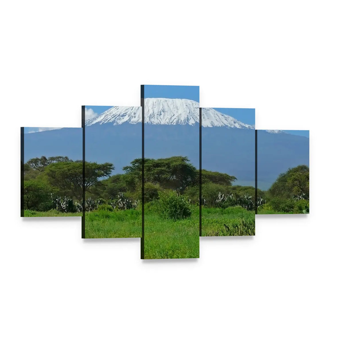 Mount Kilimanjaro Over Savanna Canvas Wall Art, 5 panel 5 Star layout gallery wrapped canvas set, angled product view