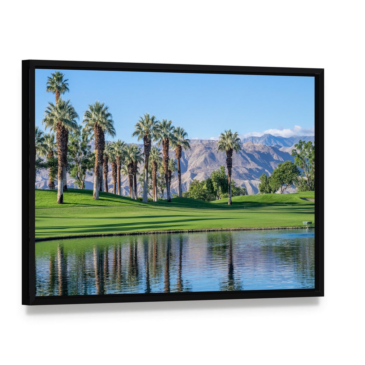 Palms Reflecting in Water Canvas Wall Art, framed canvas in a black floater frame, angled product view