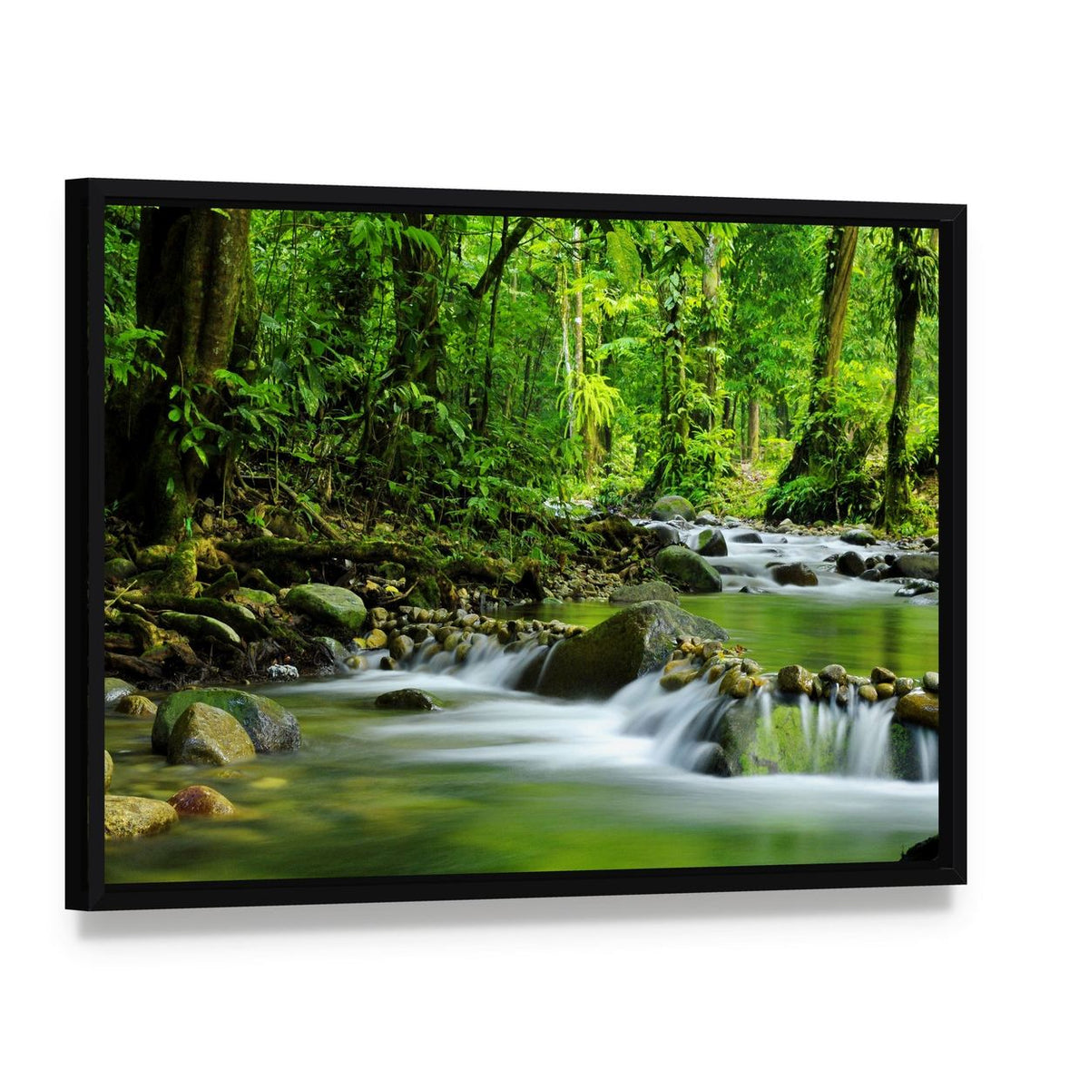 Mountain Stream in Tropical Forest Canvas Wall Art, framed canvas in a black floater frame, angled product view
