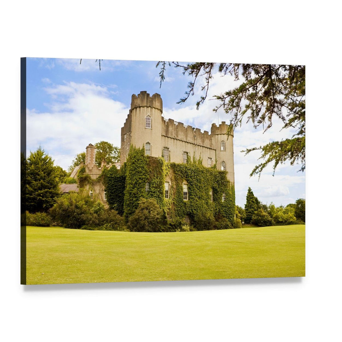 Ivy-covered Medieval Irish Castle Canvas Wall Art, single panel gallery wrapped canvas, angled product view