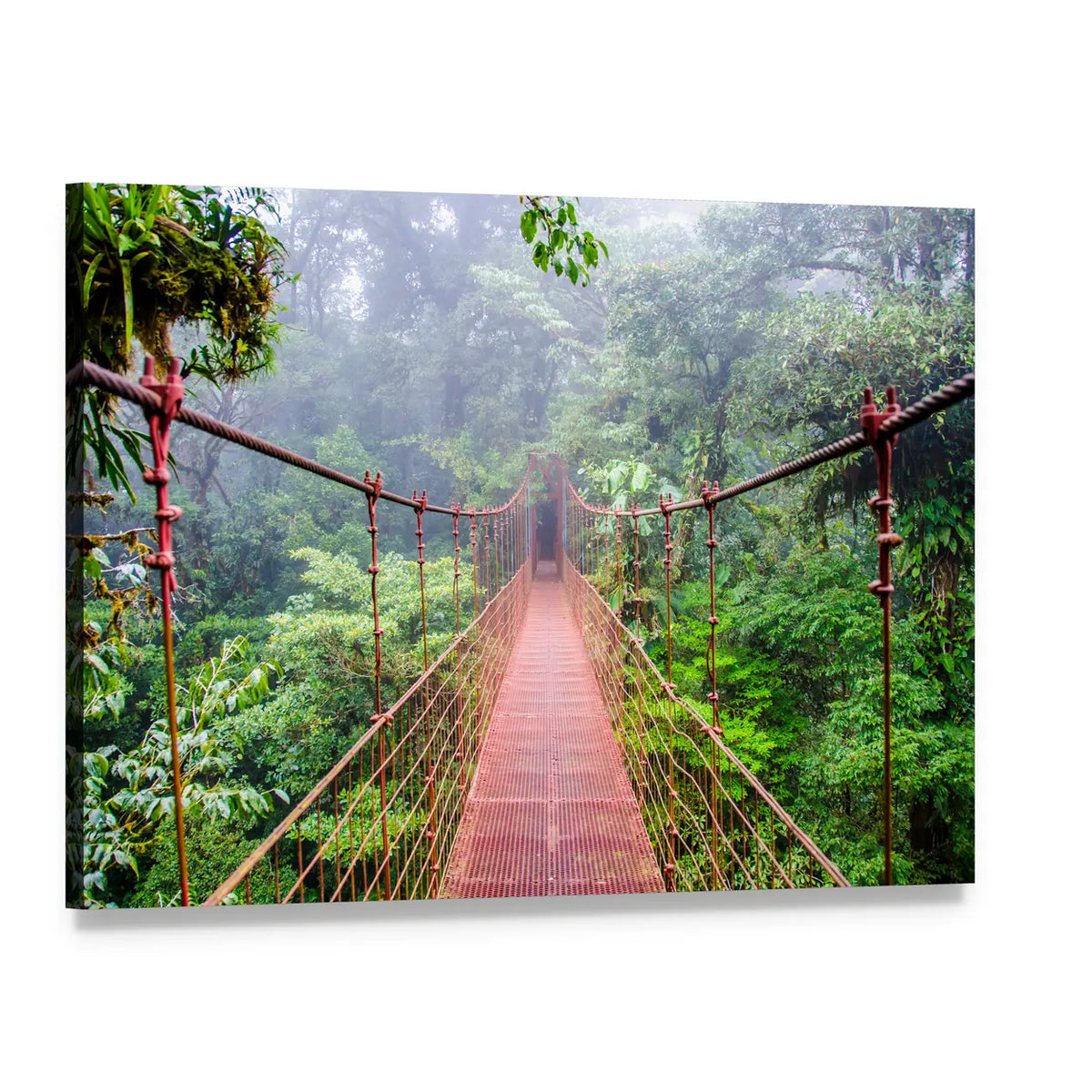 Suspension Bridge in Misty Rainforest Canvas Wall Art, single panel gallery wrapped canvas, angled product view