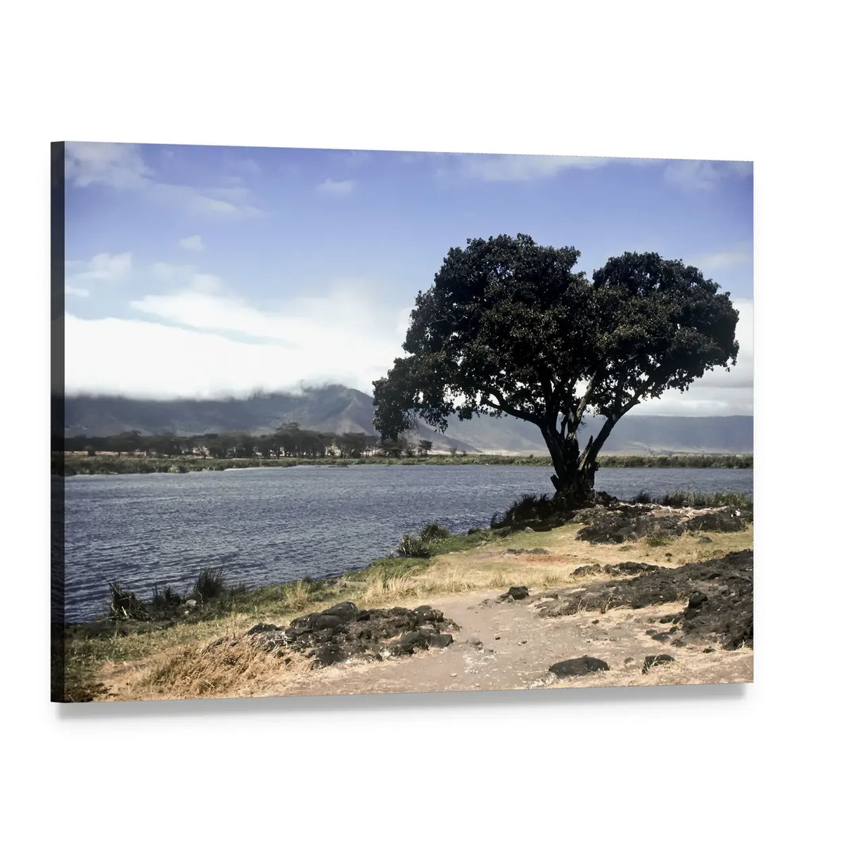 Tree on Rocky Shore with Mountains Canvas Wall Art, single panel gallery wrapped canvas, angled product view
