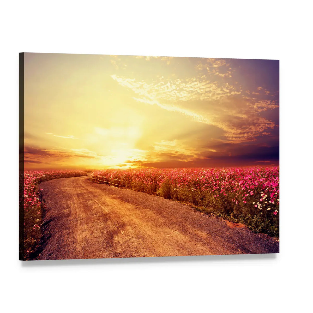 Sunset Over Pink Cosmos Field Canvas Wall Art, single panel gallery wrapped canvas, angled product view
