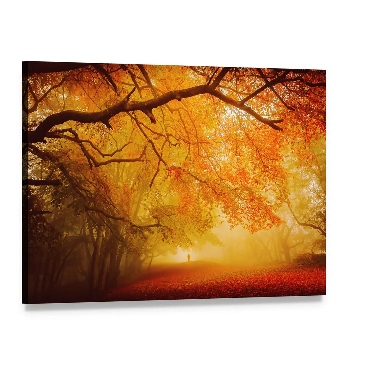 Seasonal Forest Fall Walk Canvas Wall Art, single panel gallery wrapped canvas, angled product view