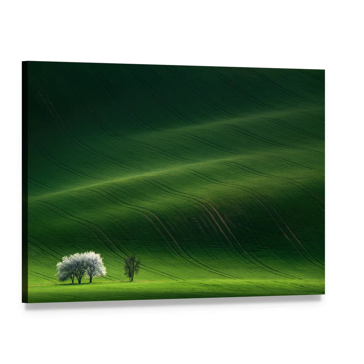 Moravian Green Rolling In Czech Republic Canvas Wall Art, single panel gallery wrapped canvas, angled product view
