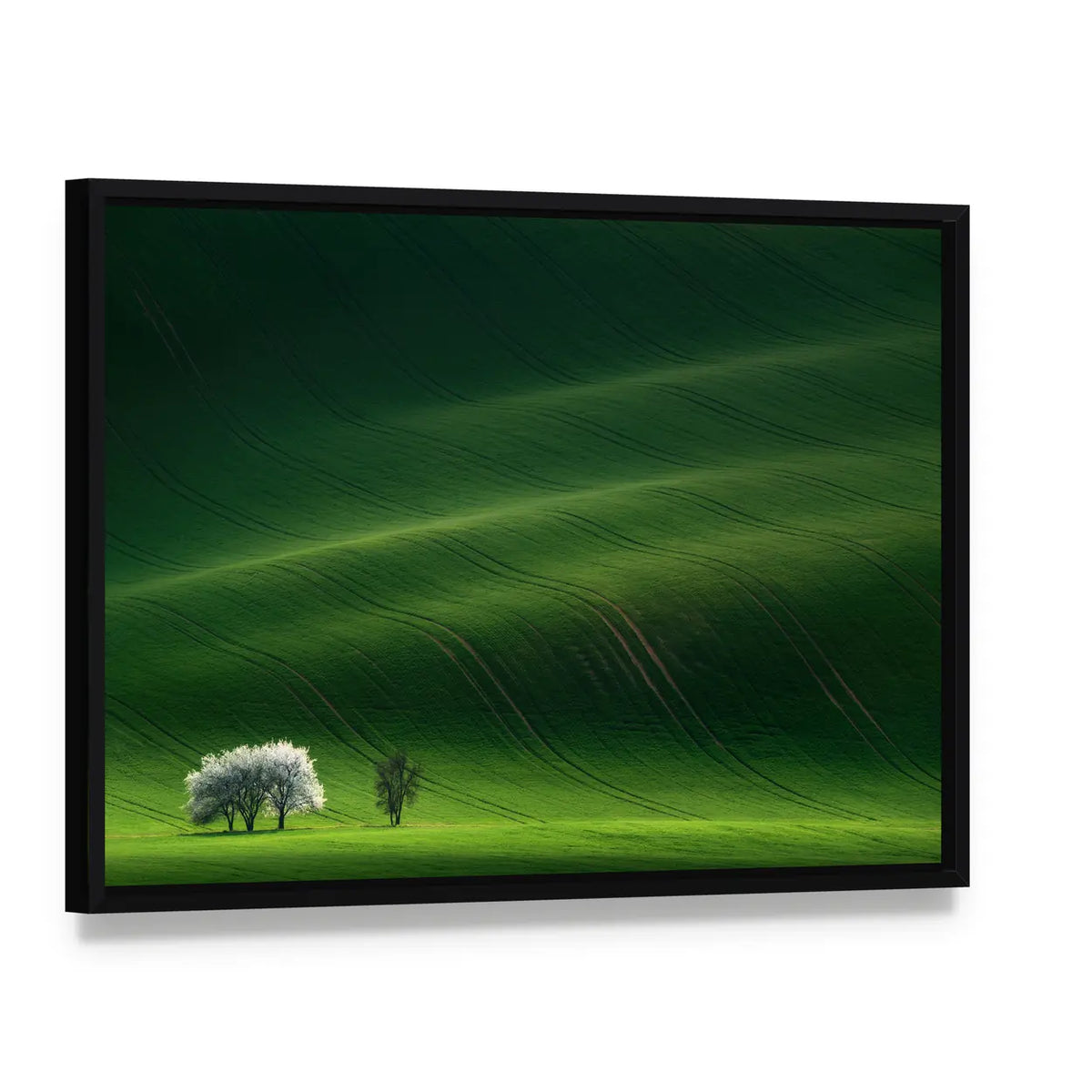 Moravian Green Rolling In Czech Republic Canvas Wall Art, framed canvas in a black floater frame, angled product view