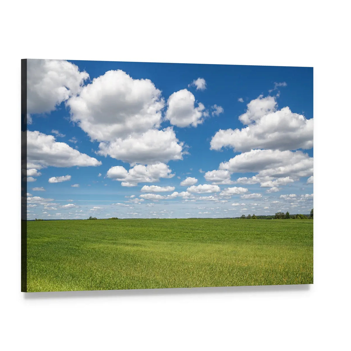 Blue Sky Over Green Field Canvas Wall Art, single panel gallery wrapped canvas, angled product view