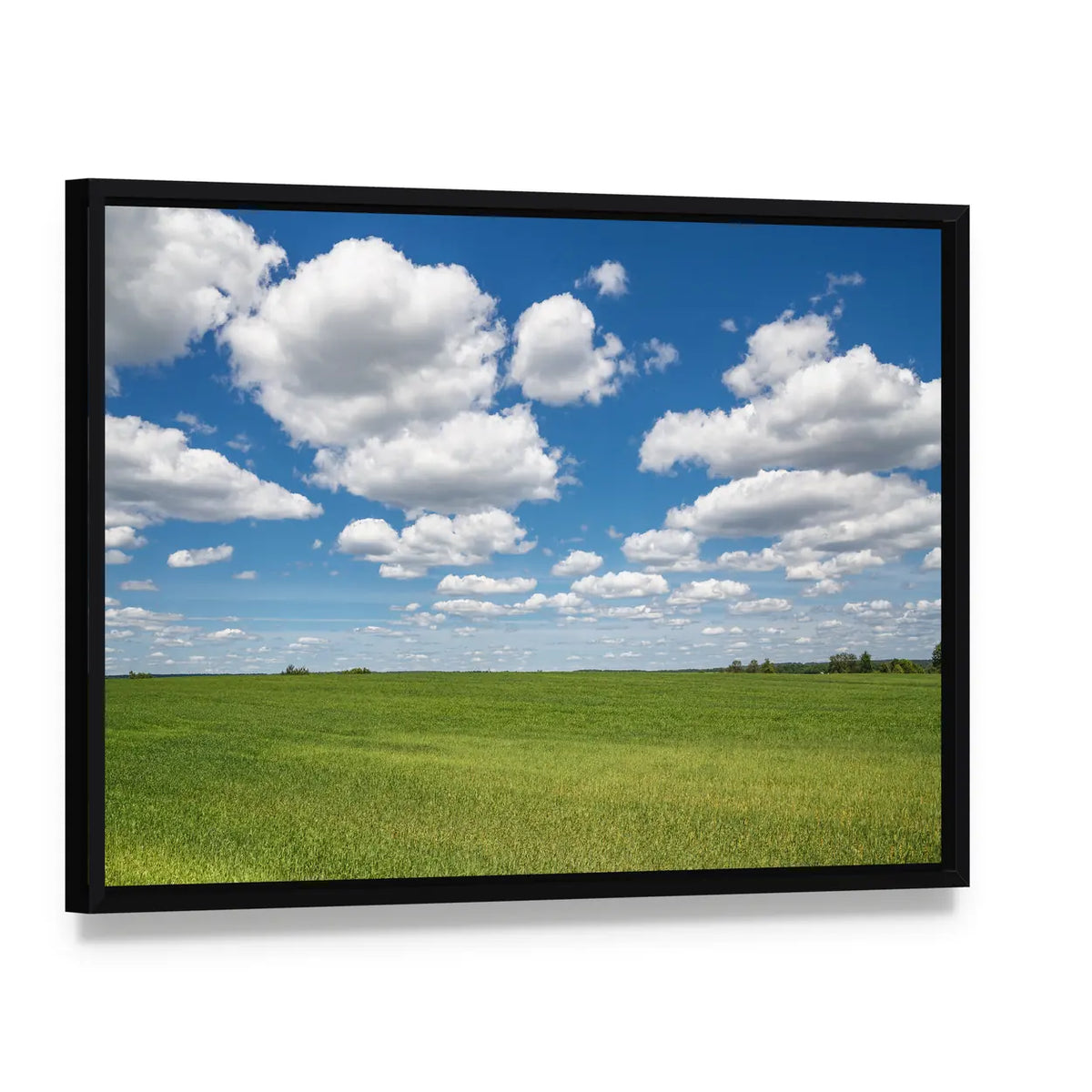 Blue Sky Over Green Field Canvas Wall Art, framed canvas in a black floater frame, angled product view