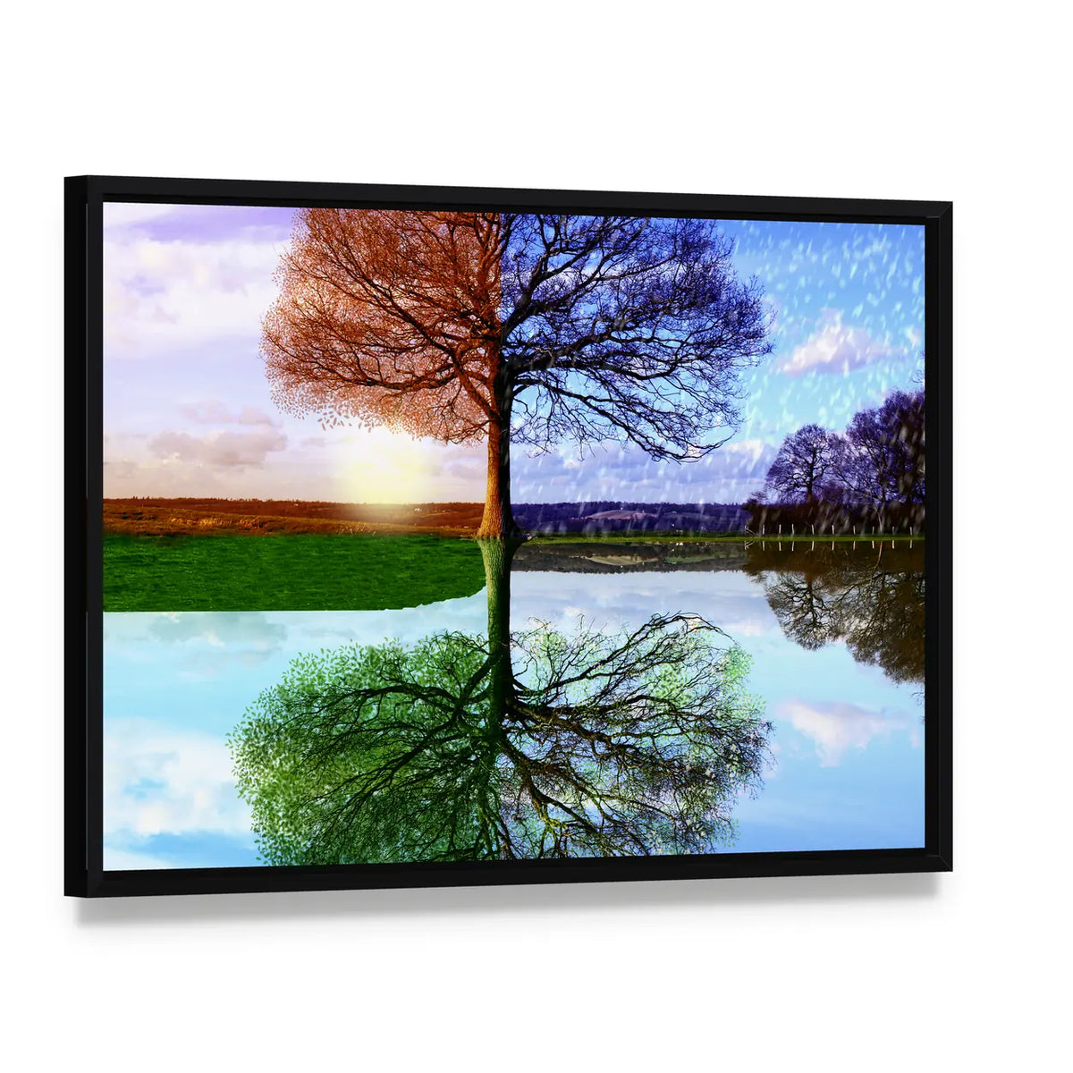 Tree in Two Seasons Canvas Wall Art, framed canvas in a black floater frame, angled product view