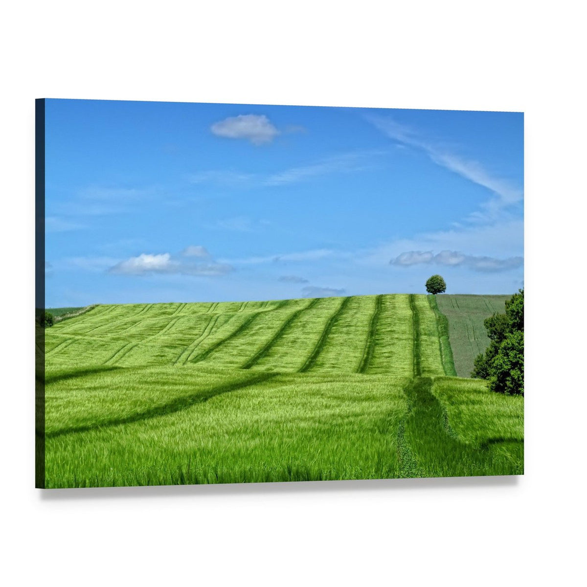 Danish Countryside Landscape Canvas Wall Art, single panel gallery wrapped canvas, angled product view