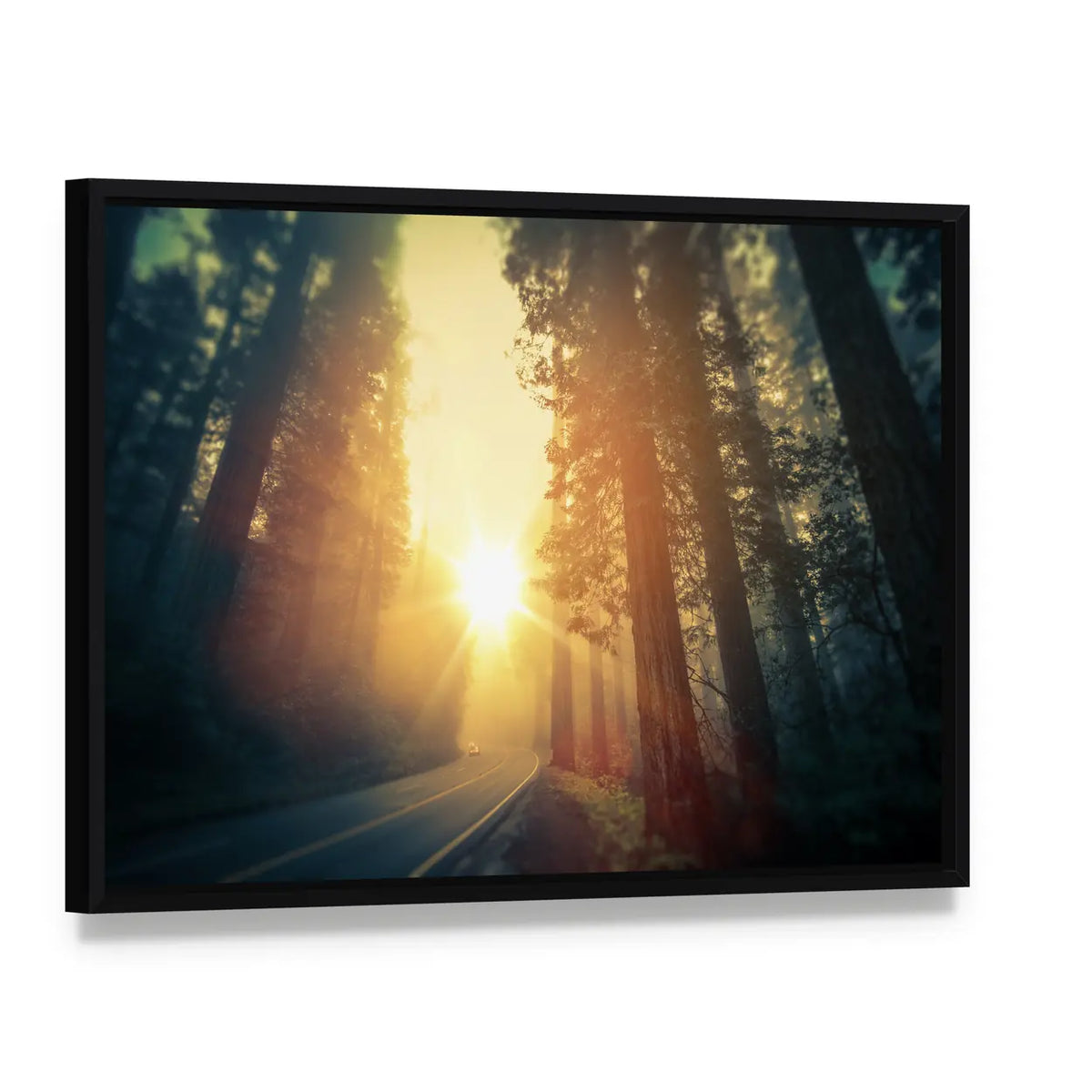 Foggy Redwood Forest Road Canvas Wall Art, framed canvas in a black floater frame, angled product view