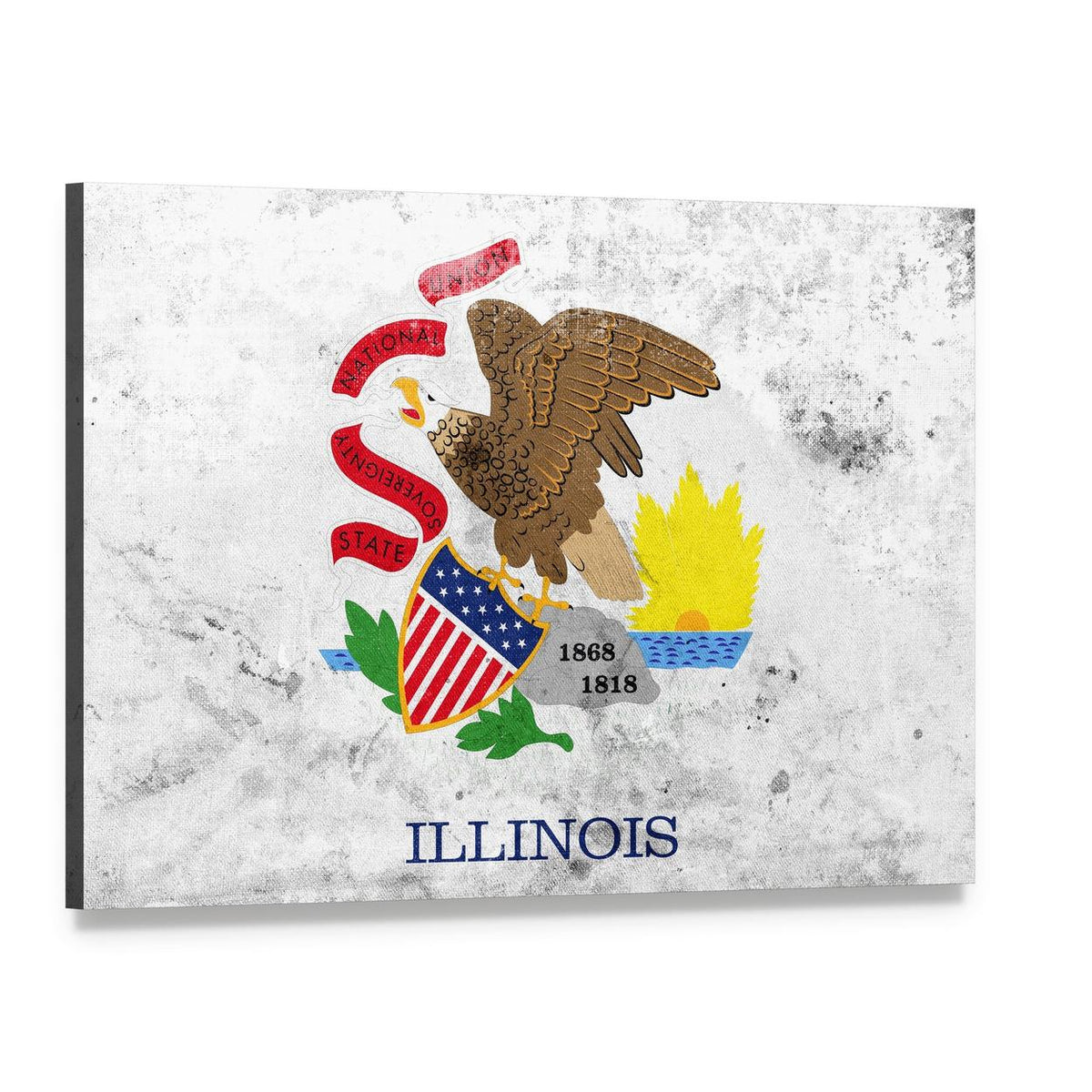 Illinois State Flag with Grungy Texture Canvas Wall Art, single panel gallery wrapped canvas, angled product view