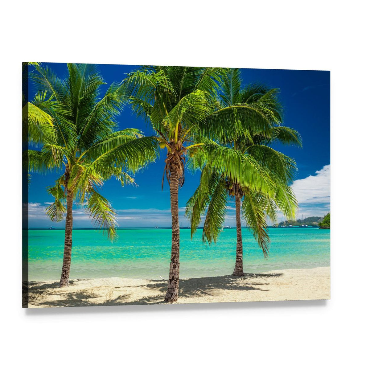 Palm Trees Over Turquoise Lagoon in Fiji Canvas Wall Art, single panel gallery wrapped canvas, angled product view