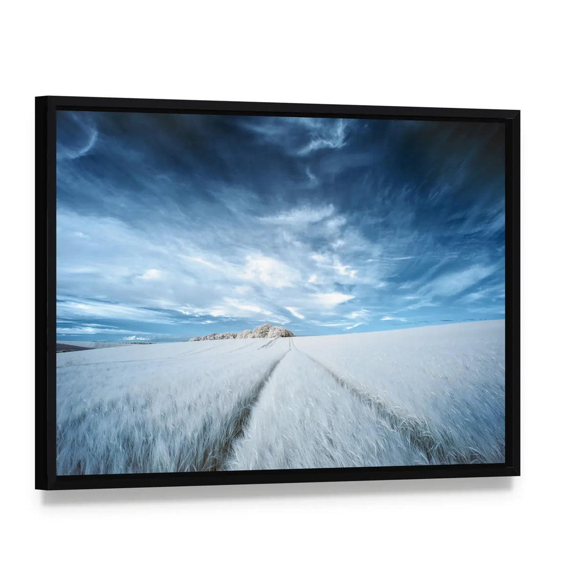 White Field with Parallel Tire Tracks Canvas Wall Art, framed canvas in a black floater frame, angled product view