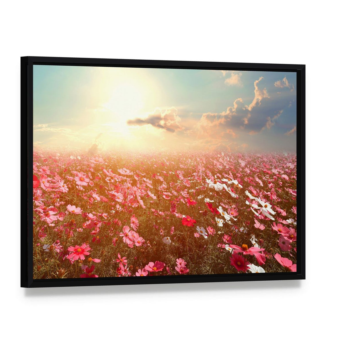 Cosmos Flower Field Canvas Wall Art, framed canvas in a black floater frame, angled product view