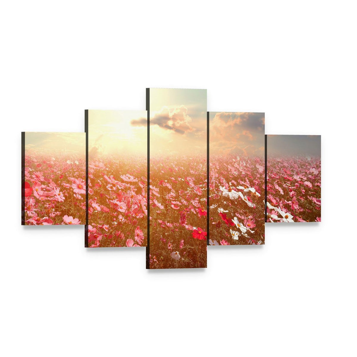 Cosmos Flower Field Canvas Wall Art, 5 panel 5 Star layout gallery wrapped canvas set, angled product view