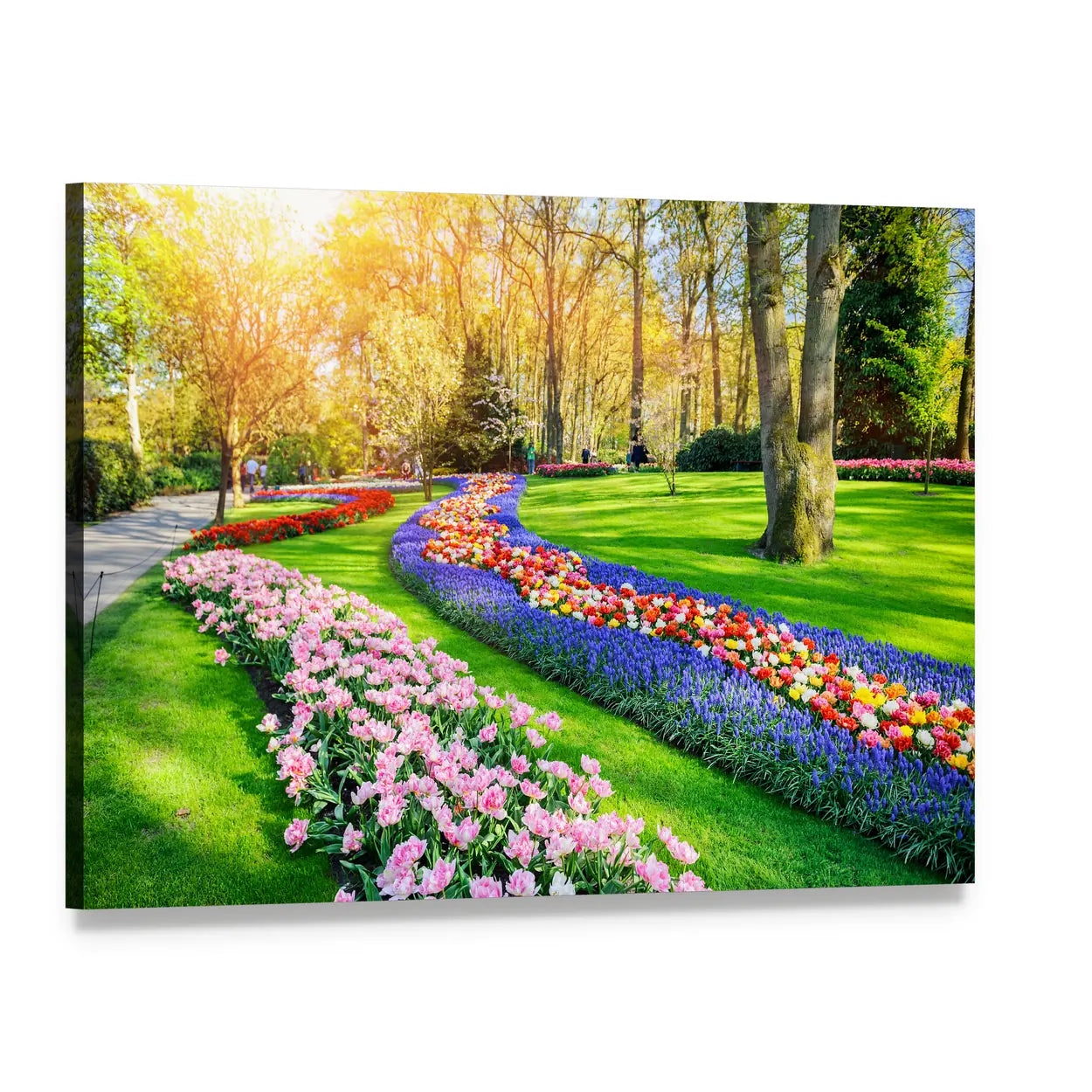 Multicolor Tulip Garden in Spring Canvas Wall Art, single panel gallery wrapped canvas, angled product view