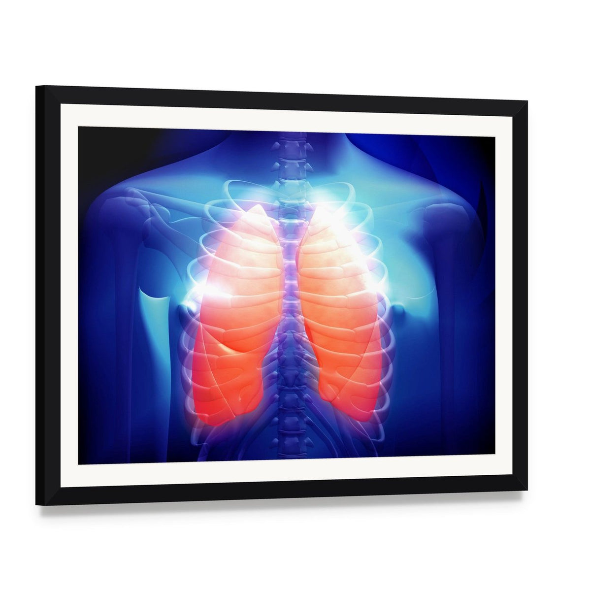 Human Lungs Anatomy Illustration Canvas Wall Art, framed print with white mat and black frame, angled product view
