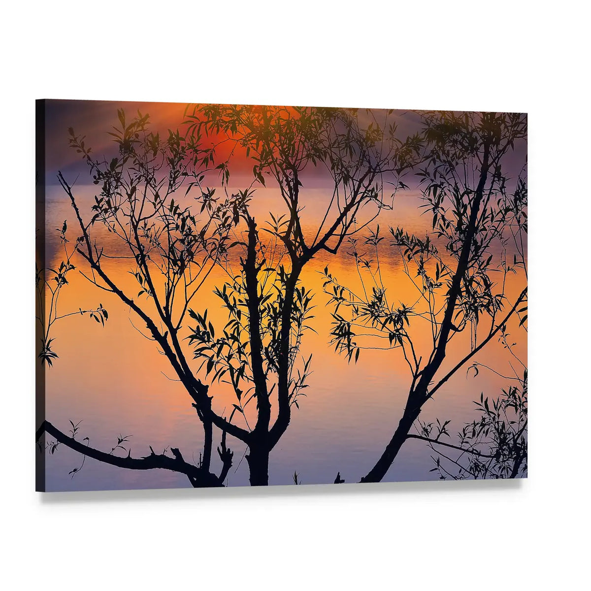 Tree Silhouette at Sunrise Canvas Wall Art, single panel gallery wrapped canvas, angled product view
