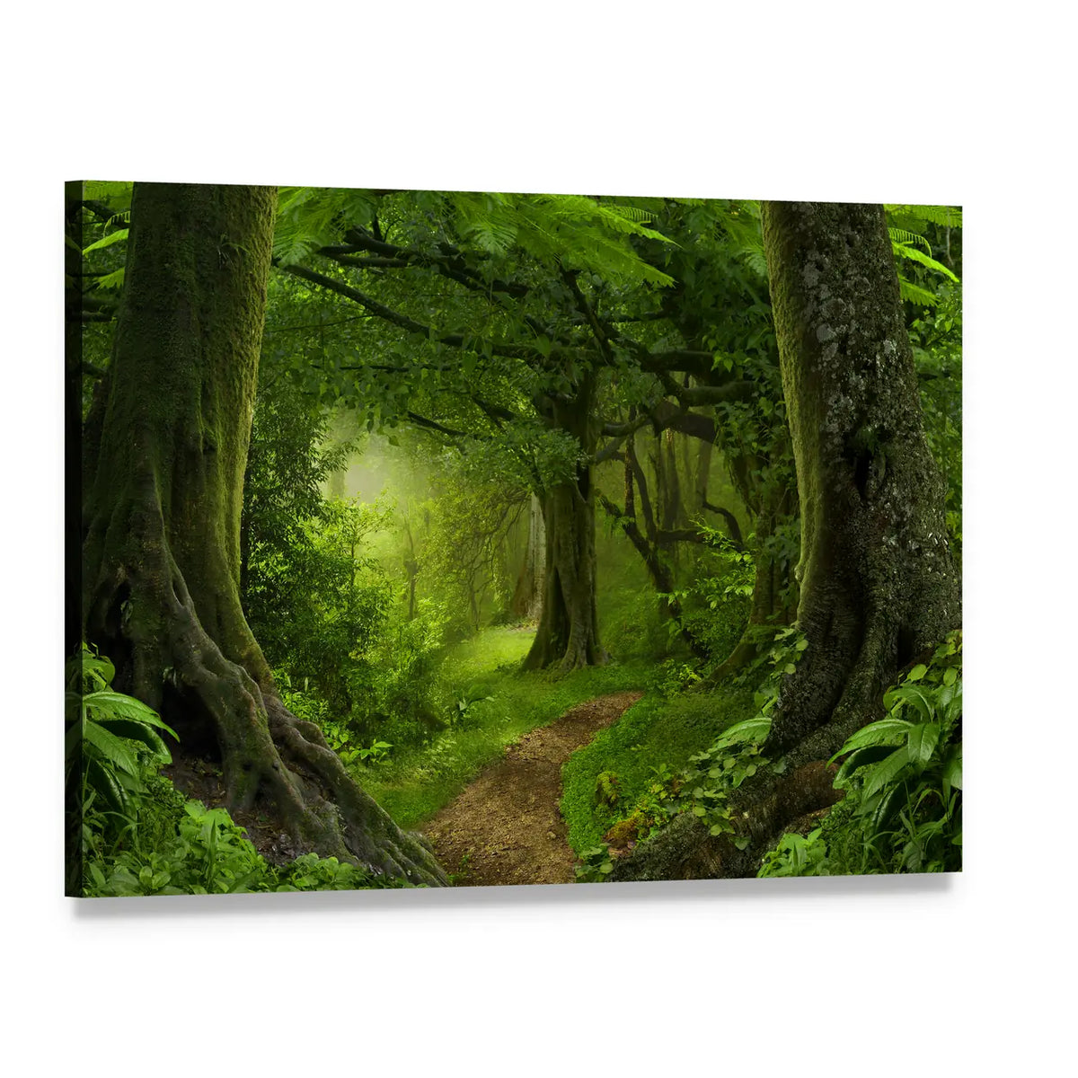 Deep Tropical Jungle Path Canvas Wall Art, single panel gallery wrapped canvas, angled product view