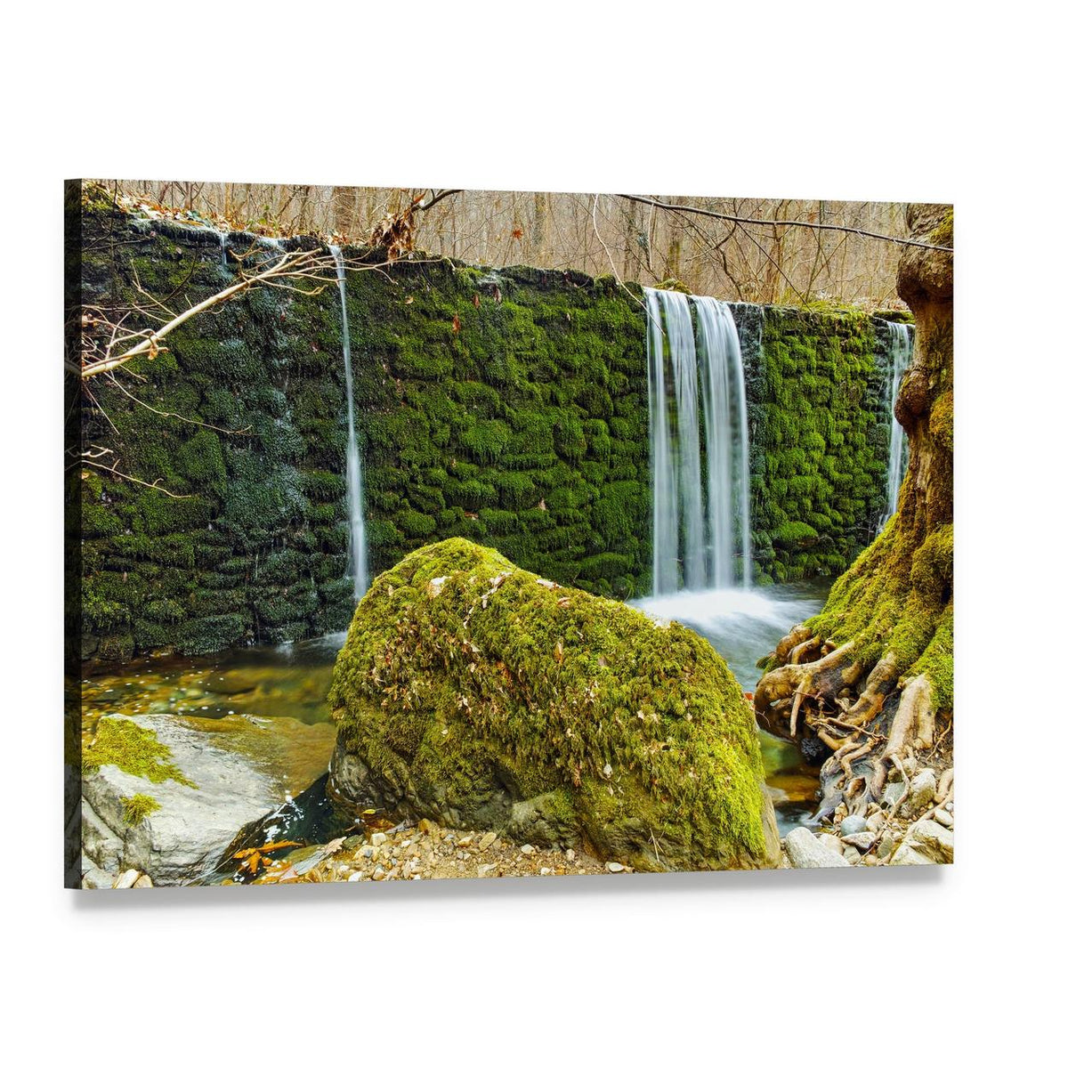 Waterfall on Crazy Mary River Canvas Wall Art, single panel gallery wrapped canvas, angled product view