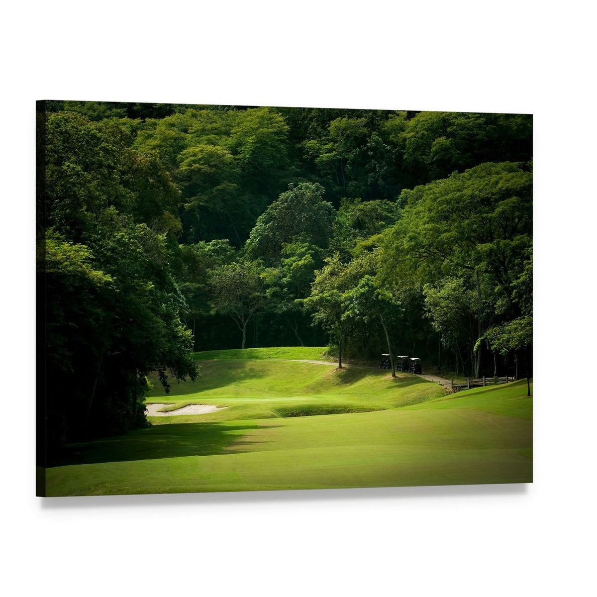 Forested Golf Fairway with Bunker Canvas Wall Art, single panel gallery wrapped canvas, angled product view