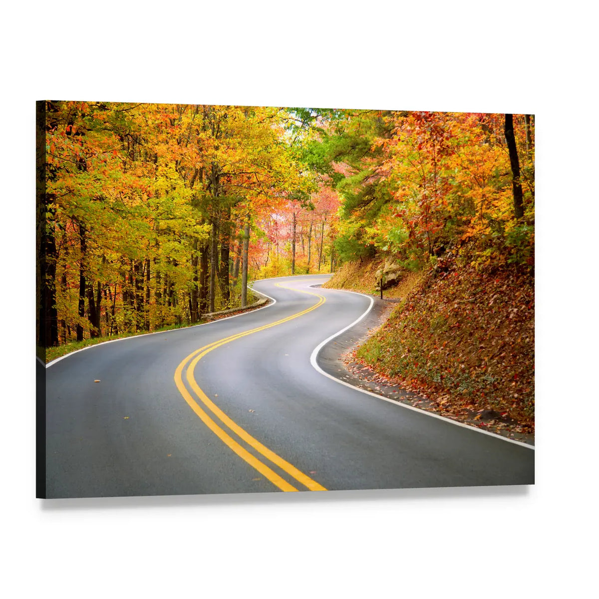 Winding Road Through Fall Forest In Appalachian Mountains Canvas Wall Art, single panel gallery wrapped canvas, angled product view