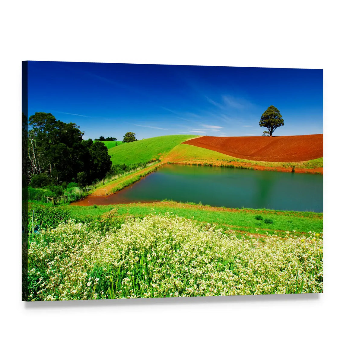 Lone Tree Above Pond in Flowered Field Canvas Wall Art, single panel gallery wrapped canvas, angled product view