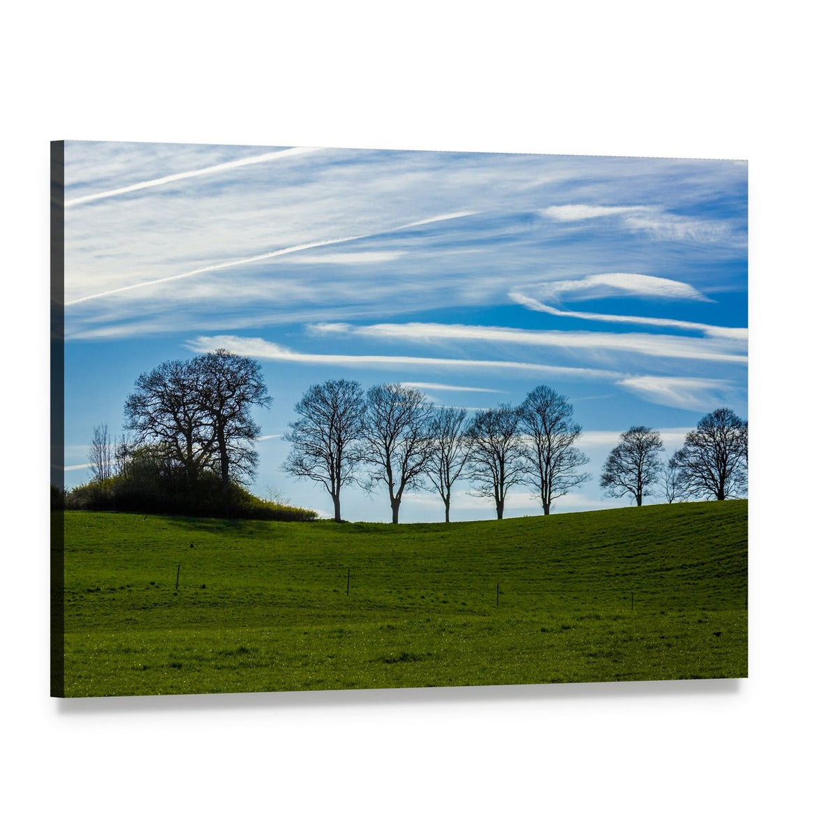 Bare Tree Silhouttes Against Blue Sky Canvas Wall Art, single panel gallery wrapped canvas, angled product view