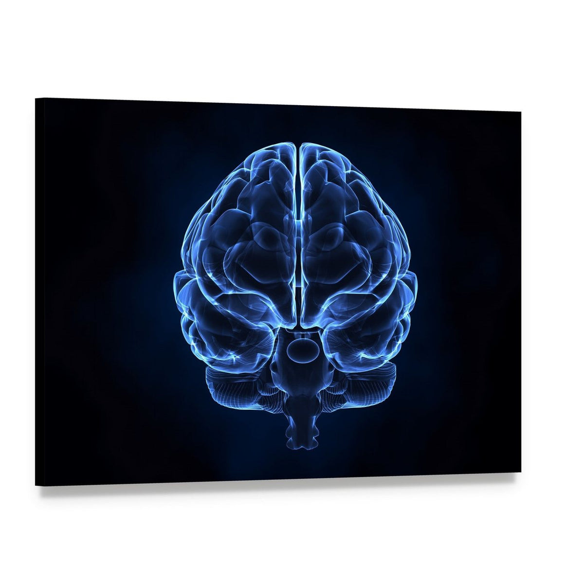 X-ray Human Brain Illustration Canvas Wall Art, single panel gallery wrapped canvas, angled product view