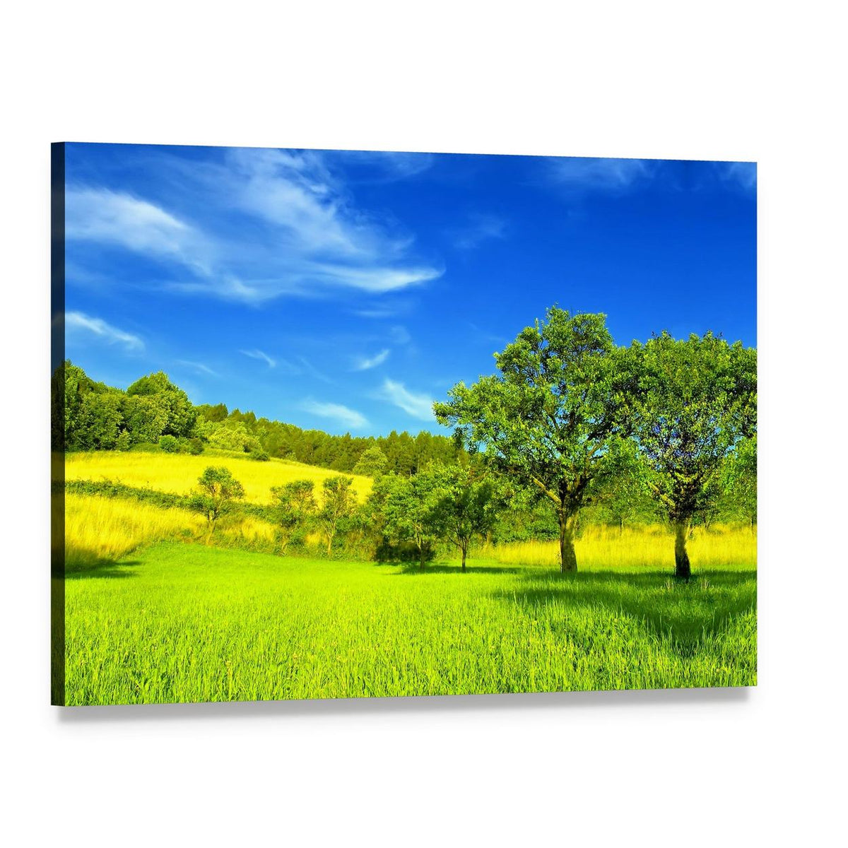 Landscape in Summer Canvas Wall Art, single panel gallery wrapped canvas, angled product view
