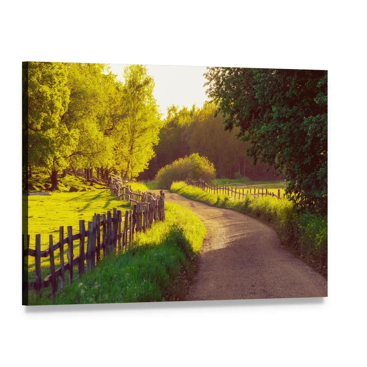 Sunny Rural Road in Sweden Canvas Wall Art, single panel gallery wrapped canvas, angled product view