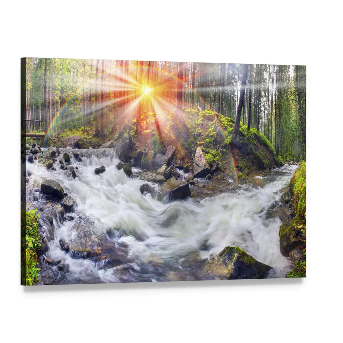 Carpathian Forest River at Sunrise Canvas Wall Art, single panel gallery wrapped canvas, angled product view