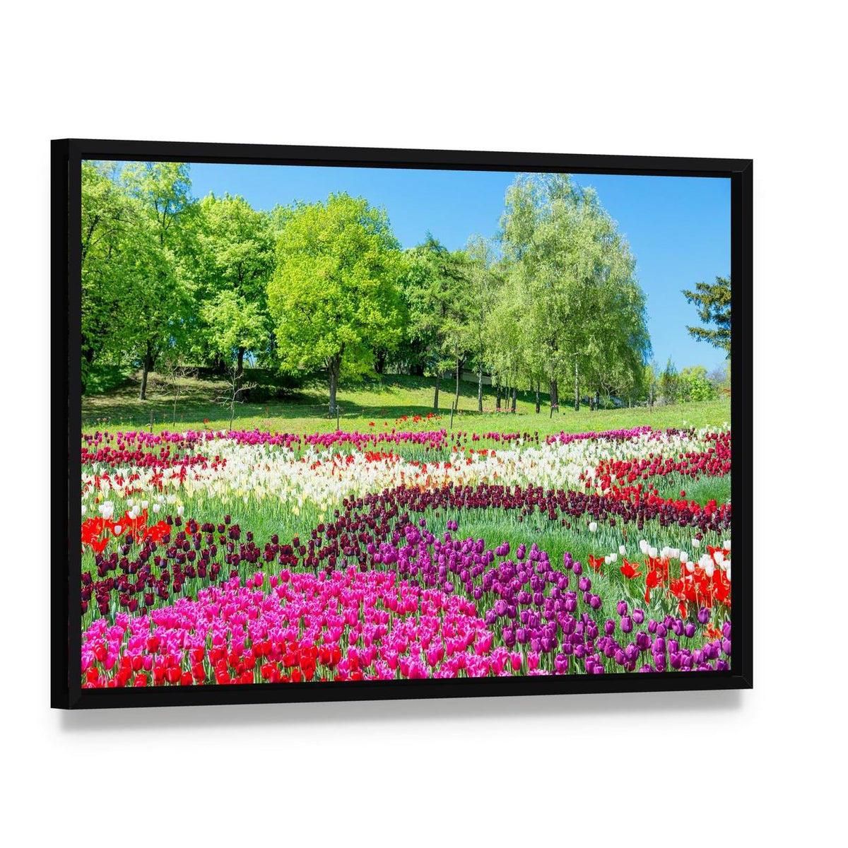 Colorful Tulips in a Green Park Canvas Wall Art, framed canvas in a black floater frame, angled product view