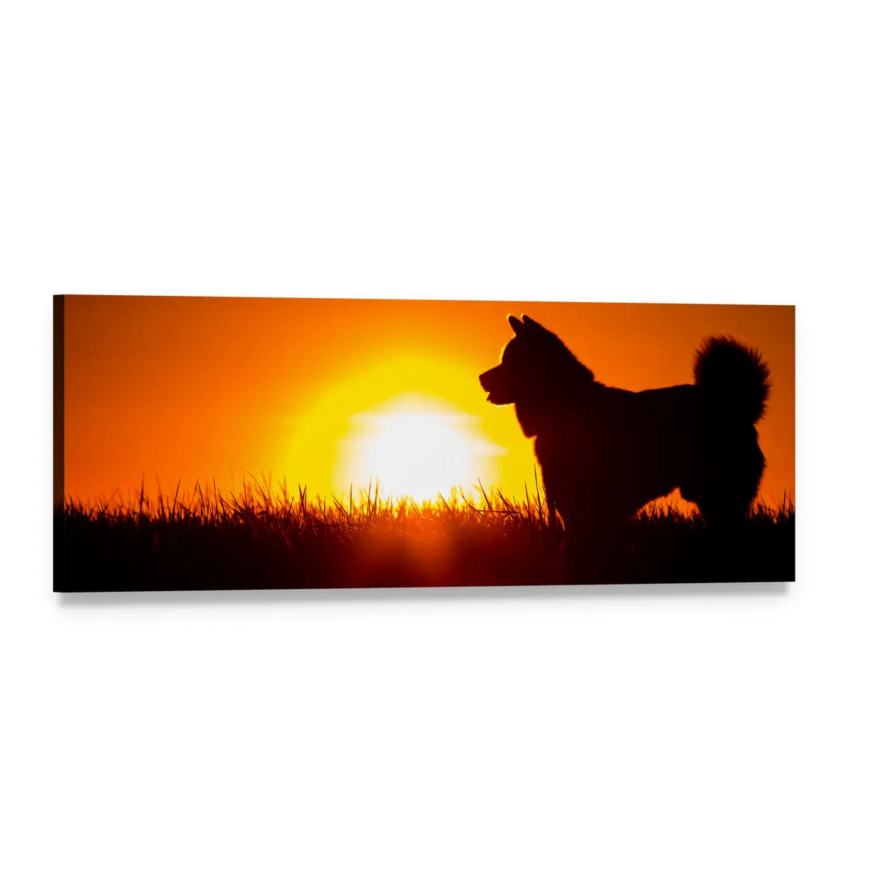 Dog Silhouette at Golden Sunset Panoramic Canvas Wall Art, single panel gallery wrapped canvas, angled product view