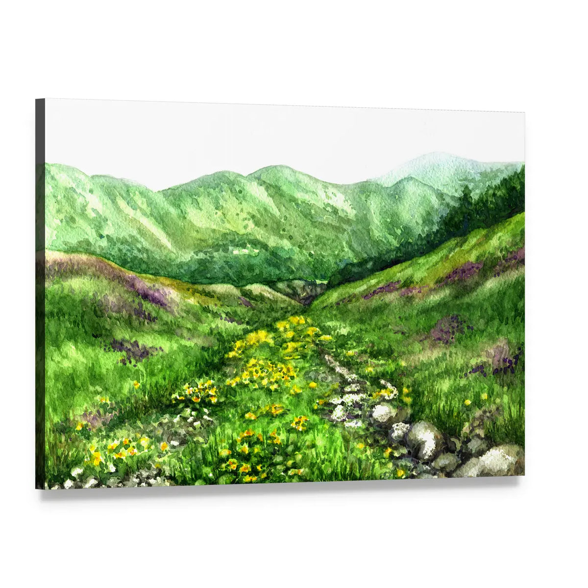 Summer View of Mountain Valley Canvas Wall Art, single panel gallery wrapped canvas, angled product view