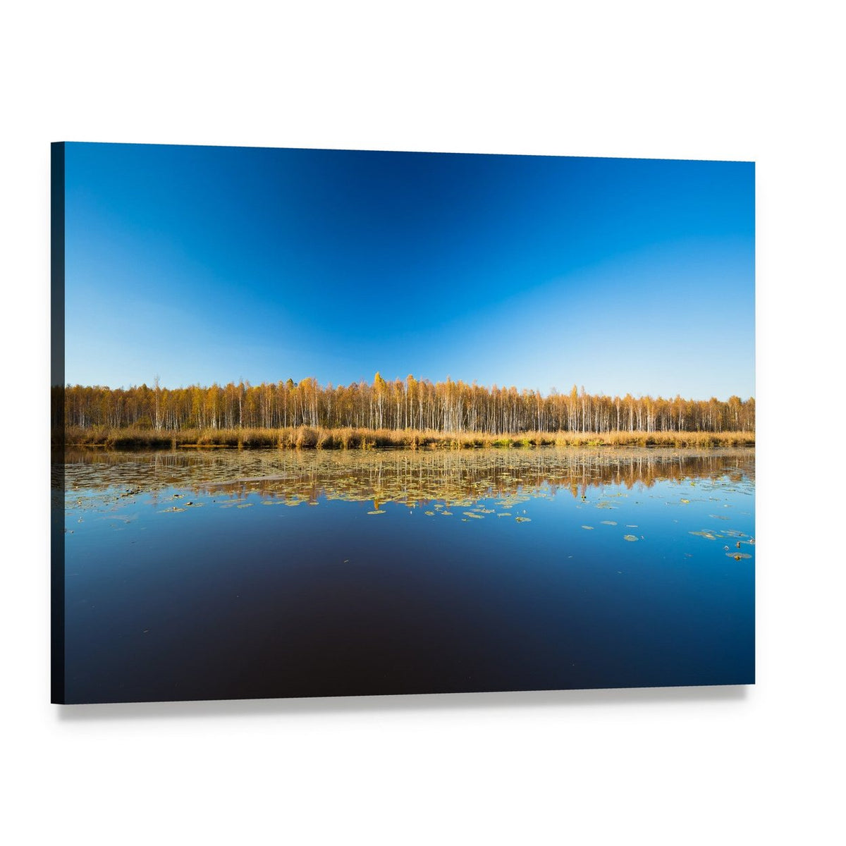 Birch Forest and Lake Canvas Wall Art, single panel gallery wrapped canvas, angled product view